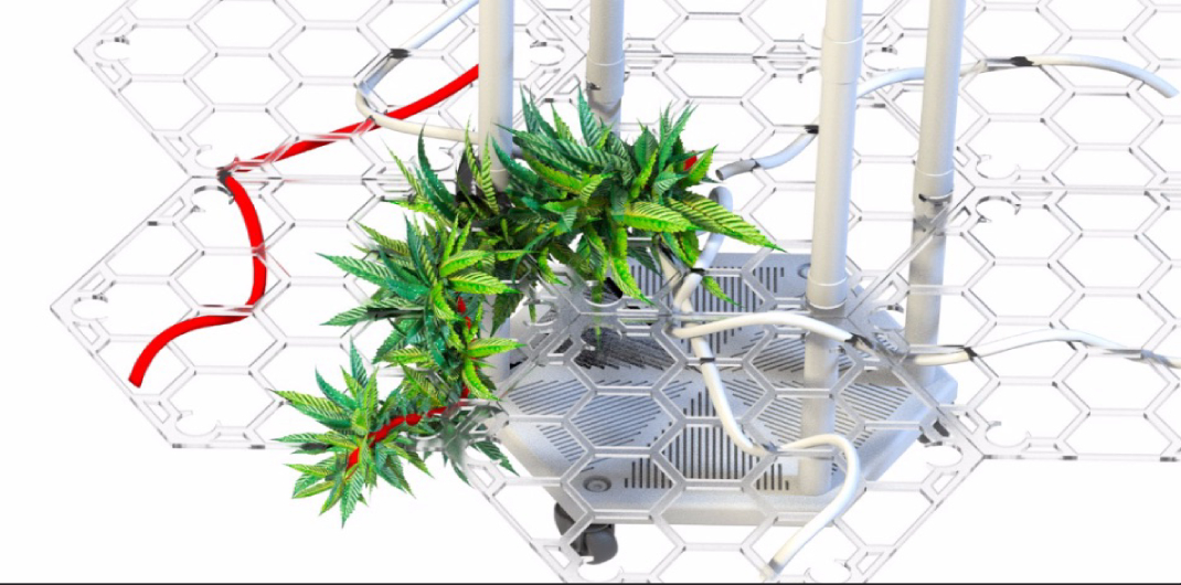 Llega a México la novedosa herramienta de auto-cultivo de Cannabis